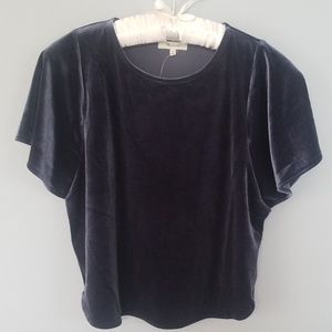 Madewell Icy Blue Velvet Top